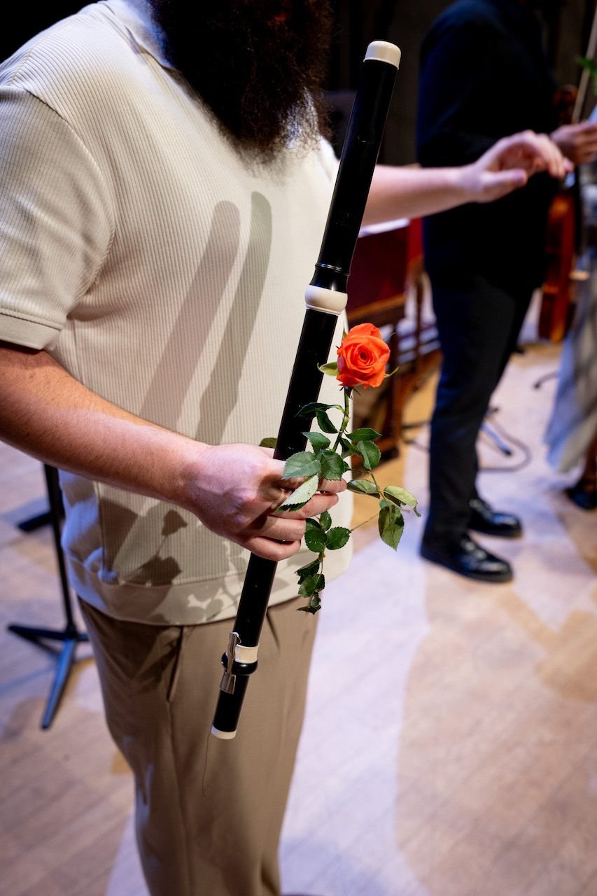 Historical instrument with rose Anacronia (2024)