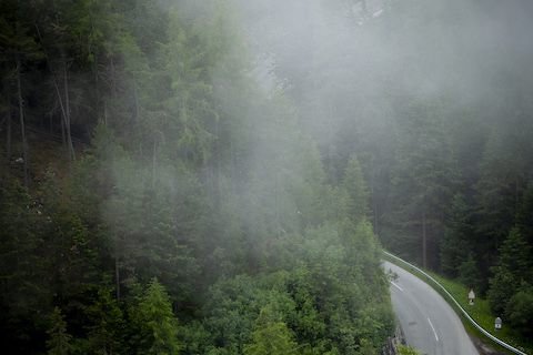 Misty road near Niederthai (2024)