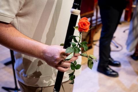 Historical instrument with rose Anacronia (2024)