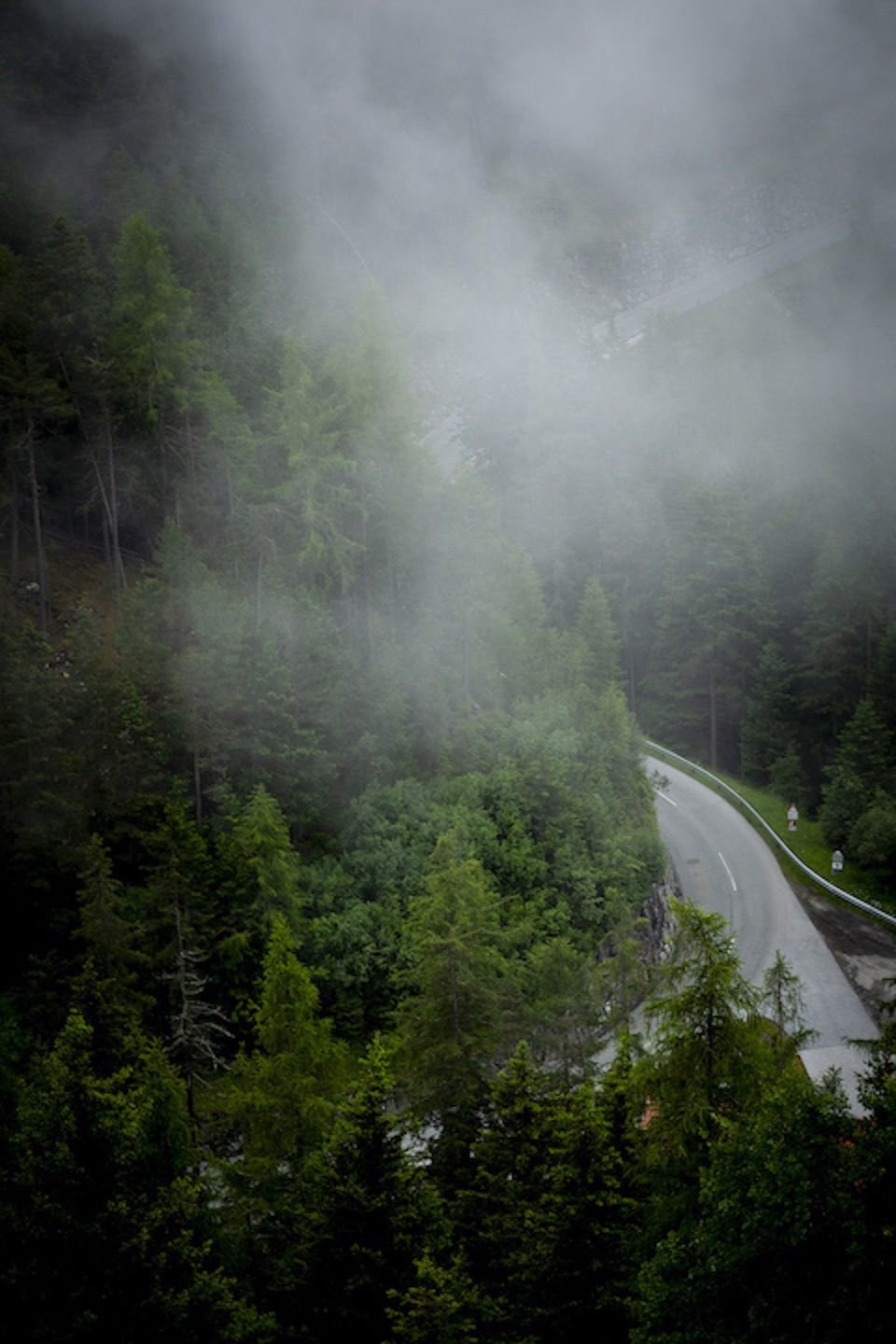 Misty road near Niederthai (2024)
